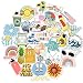 CHEETAH Cute Vsco Stickers for Hydro Flask Water Bottles 50-100 Pcs Trendy Cool Stickers for Teens Waterproof Vinyl Stickers (Vsco-35 pcs)