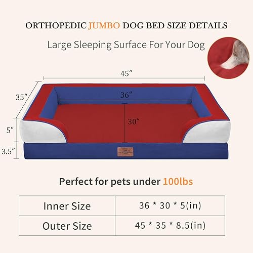 Miniatura 558 de Comfort Expression - Cama ortopédica para perros extragrandes, 53 x 42 pulgadas, cama impermeable y de apoyo de espuma con cojines removibles, con
