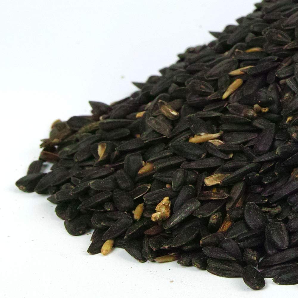 Graines de Tournesol Noir GardenersDream - Nourriture Riche en Huile pour Les Oiseaux Sauvages du Jardin (10kg)