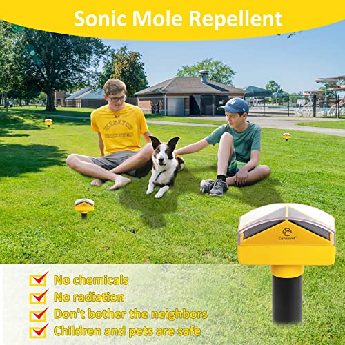 Diaotec Mole Repellent Stakes Gopher Repellent Sonic Solar Powered Snake Repellent Ip65 Waterproof 2 In 1 Solar Outdoor Lights Sonic Mole Deterrent Devices For Groundhog Vole Snake Etc (4-Pack) #TOP5