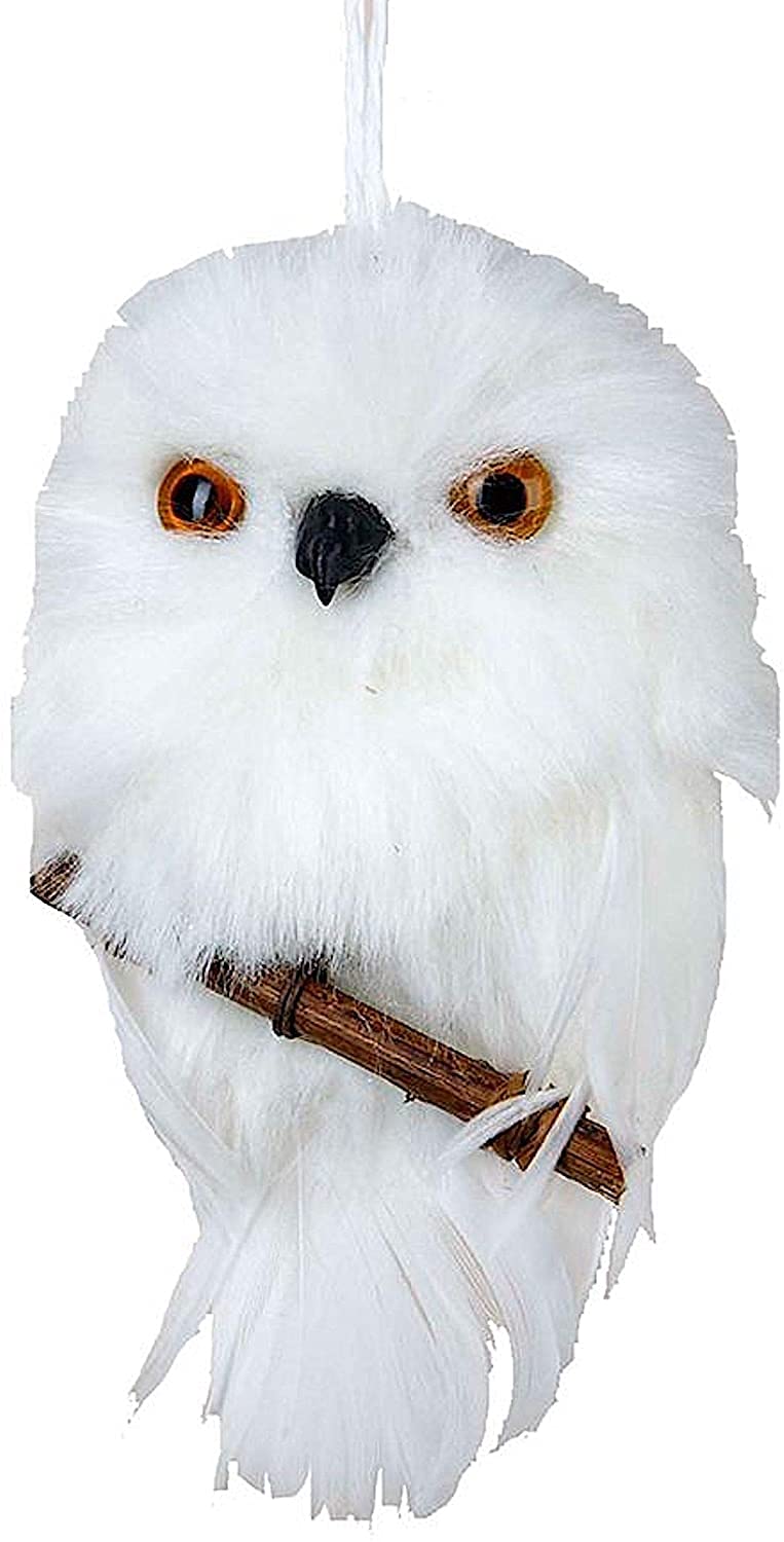 Amazon.com: Kurt S. Adler YAMC2220 Hanging Owl Ornament with