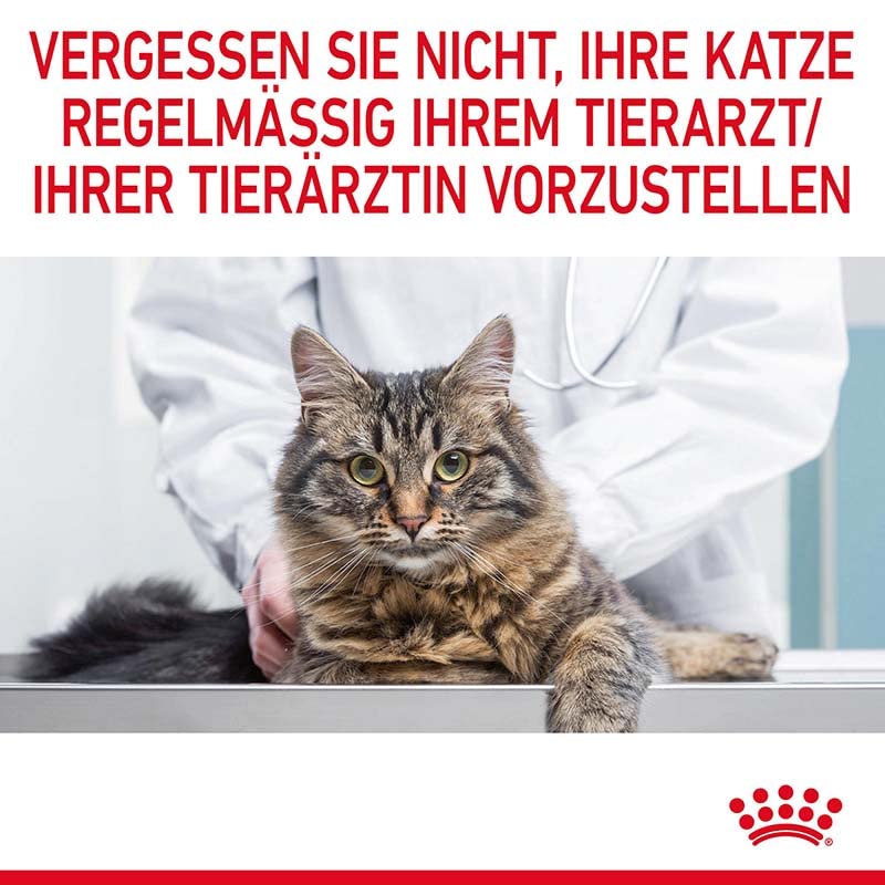 Royal Canin Hair & Skin Care Gravy | Doppelpack | 2 x 12 x 85g | Alleinfuttermittel für ausgewachsene Katzen | Feine Stückchen in Soße | Kann zu einem gesundes Fell beitragen