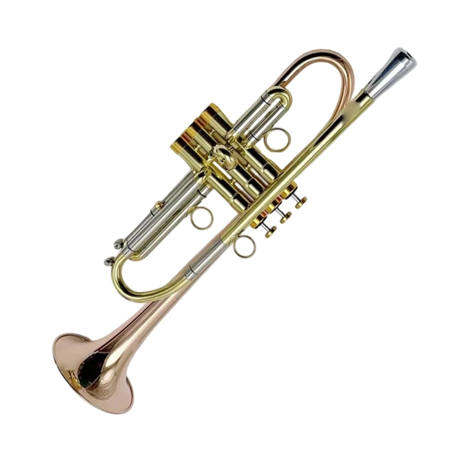 Professional Trumpet Trompeta profesional en si bemol