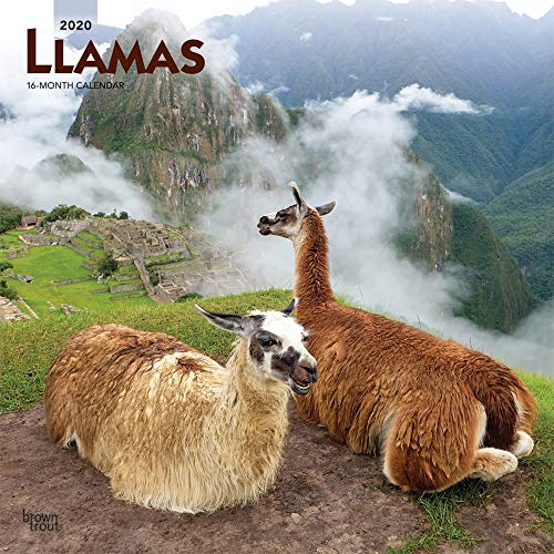 Télécharger Llamas 2020 Calendar Francais PDF