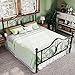 Allewie Queen Size Bed Frame with Headboard,Metal Bed Frame with Butterfly Pattern Design Headboard & Footboard,No Box Spring Needed,Easy Assembly,Black