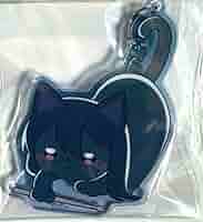 Amazon.co.jp: バンドリ mygo!!!!! キーホルダー おもしれー猫