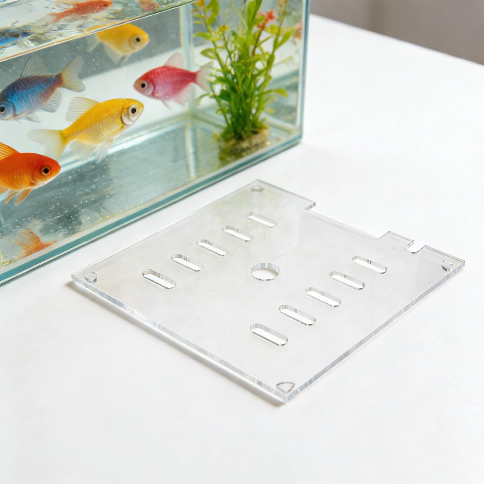 ARTIBETTER Couvercle en Acrylique Transparent 20x20 Cm pour Aquarium, Couvercle de Protection Anti-Saut Carré avec Grille, Accessoire pour Poissons, Crevettes et Tortues Aquatiques