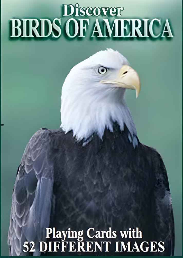 Discover Series Fun Playing Cards - Informational & Educational (Birds of America)