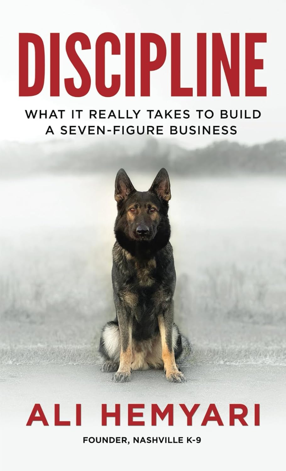 Discipline: What it Really Takes to Build a Seven-Figure Business