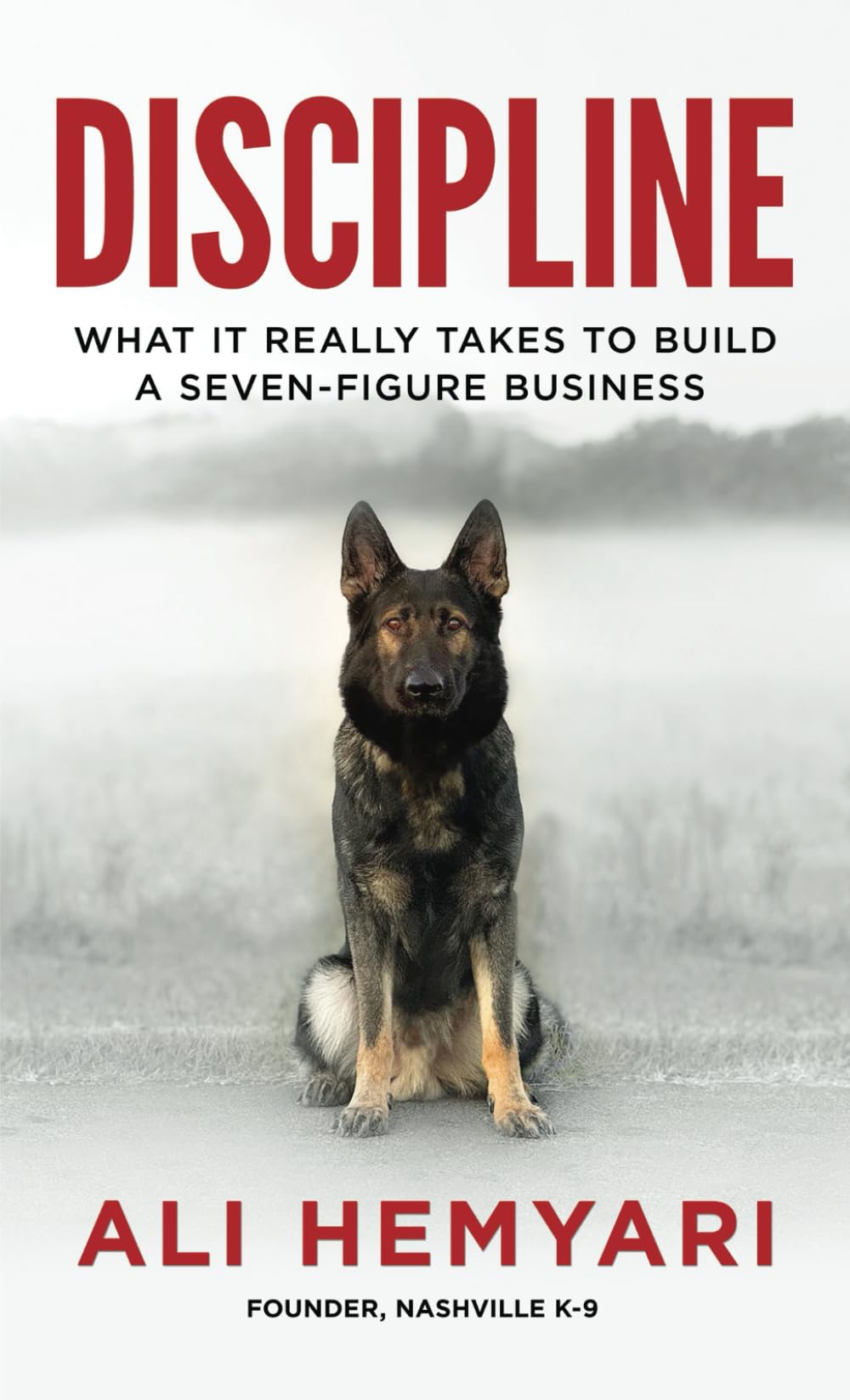 Discipline: What it Really Takes to Build a Seven-Figure Business
