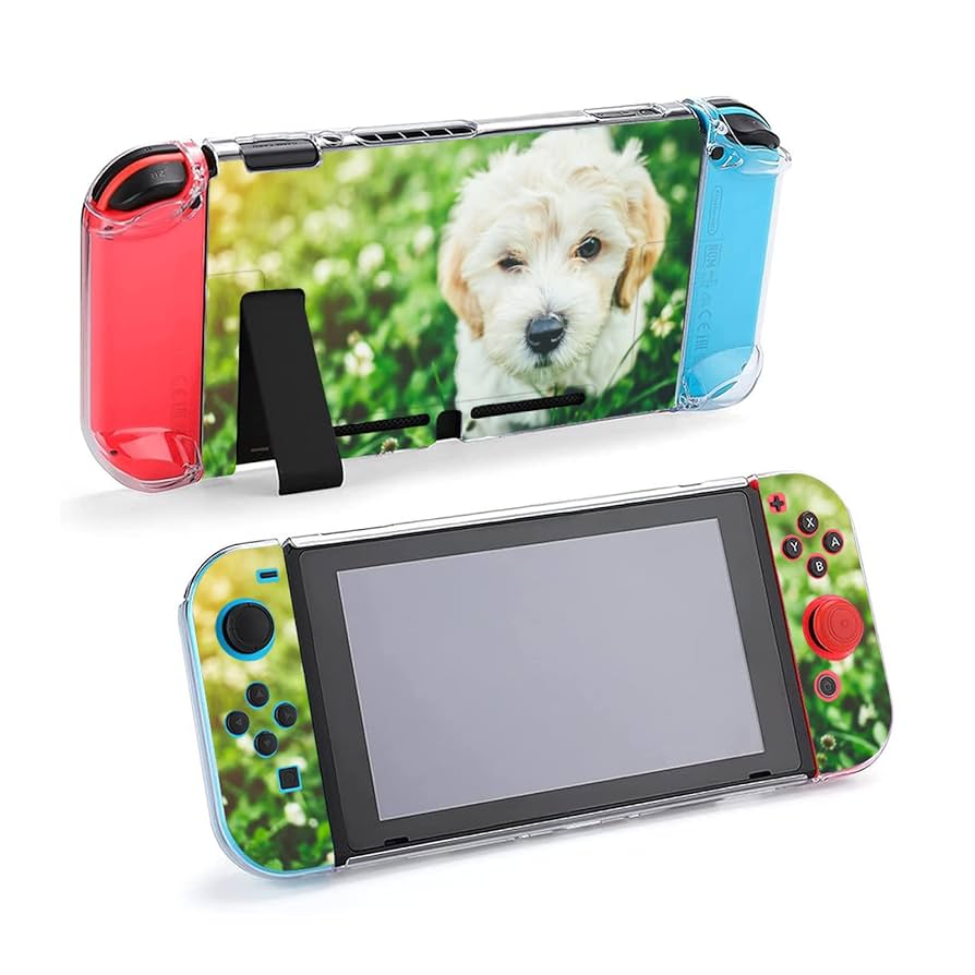 ニンテンドースイッチ カスタム カバー Amazon.com: Custom Protective Case for Nintendo Switch