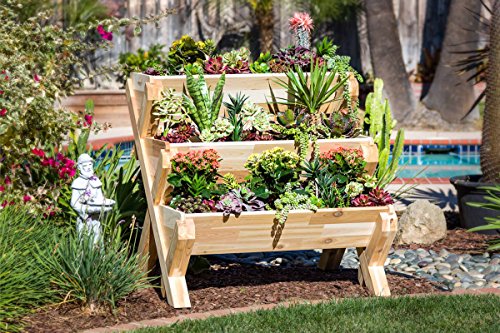Cedarcraft Cascading Garden Planter - 3 Tier Vertical Garden - Grow Fresh Vegetables, Herb Gardens, Flowers & Succulents. Beautiful Raised Garden Bed For A Deck, Patio Or Yard. No Tools Required. #TOP5