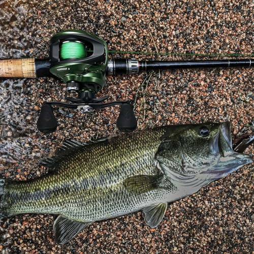 Image of Piscifun Torrent II Baitcasting Reel, 20LB Drag, Magnetic Brake | Smooth casting, 6+1 bearings, 6.75 oz body, 6.6 /8.1 ratios,low-profile body