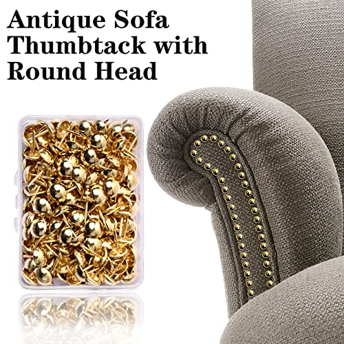 200 Stück 11x17mm Polsternägel Möbel Dekorative Reißnägel Ziernägel Vintage Möbel Heftzwecken Polster Reißzwecken Push Pins mit Aufbewahrungsbox für Möbel Sofa Sessel Stuhl Bett Dekoration (Gold)