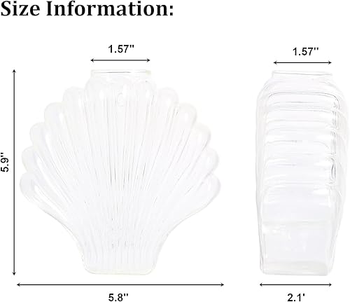Miniatura 19 de Kingbuy Octagon Wall-Mounted Propagation Vase - 2 Pack Clear Glass Planters for Hydroponic Plants & Flowers, Indoor Wall Plant Holder, Unique Home
