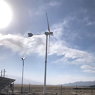 FLTXNY POWER 5000W 220V AC Horizontal Wind Turbine 5KW Wind Power Generator Kits 3 Blades 1.6M On Grid/Off Grid Wind Turbines Windmill High Efficiency for Home Industrial Marine RV Farm (No Pole)