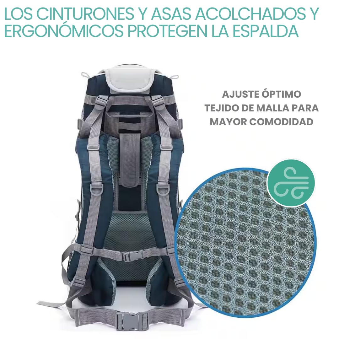 Fillikid Mochila Portabebés Senderismo - Portabebes Trekking desde 6 Meses hasta 18 kg, Mochila Bebe con Protección Solar, Mochila Infantil y Compartimentos de Almacenamiento - Azul/Gris