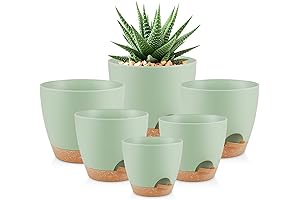 Greenholics Self-Watering Plant Pots