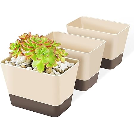 Amazon Com 多肉植物盆附托盤 Suream 3 件組6 X 3 8 英吋 約6 8 X 3 8 公分 香草窗盒辦公室仙人掌種植器塑膠矩形 植物容器附托盤適用於窗台花園陽台門廊