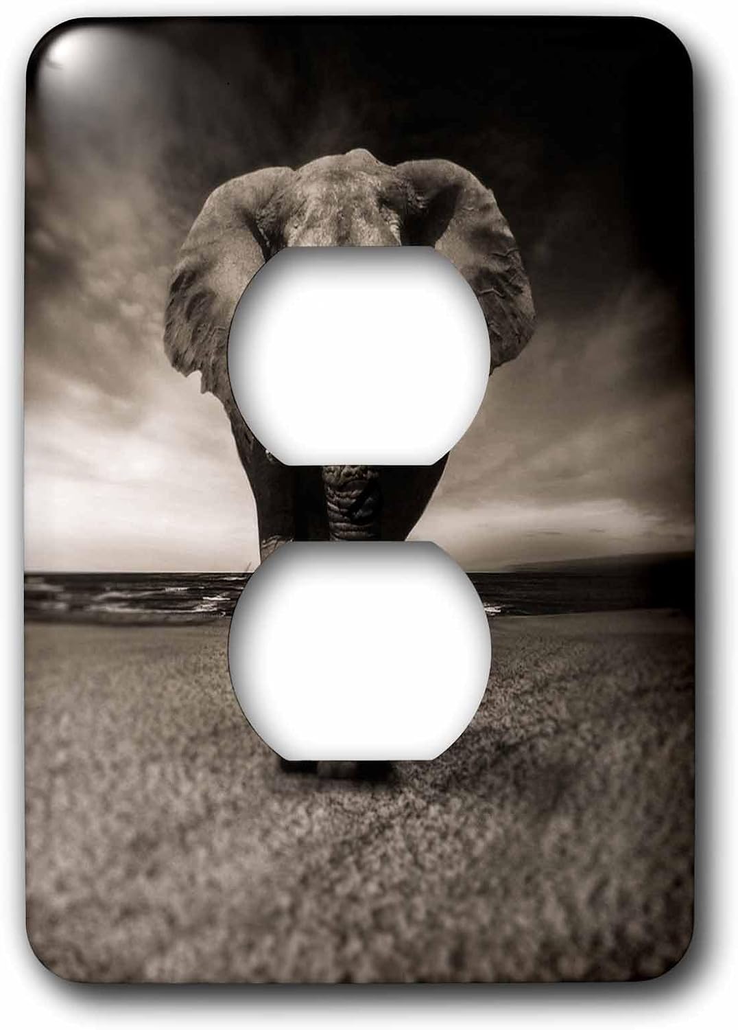 3dRose African Wildlife Elephant Mammal Zoo Jungle double toggle switch