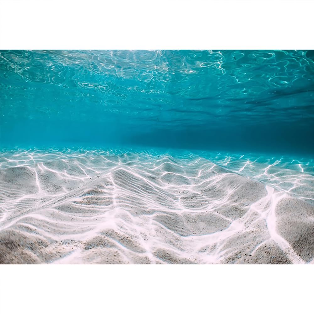 Aquarium Folie Rückwand SDOTPMT 5x3ft Unterwasser Welt Polyester  Hintergrund Unter Dem Meer Unterwasser Sonnenlicht Tiefblaues Wasser  Wasserpflanzen Korallenhintergrund Marine Geburtstagsparty Dekor Fotostudio  Requisiten Underwater Film, image size:1000x1000