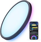 Govee Smart Ceiling Light, RGBIC LED Ceiling Light Fixture, 2400LM Flush Mount Light Fixture, 16 Million DIY Colors, Works with Alexa, 2200K-6500K Ceiling Lights for Bedroom, Living Room, 12 Inch