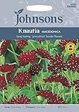 johnsons seeds - Pictorial Pack - Fiore - Knautia macedonica - 50 Semi