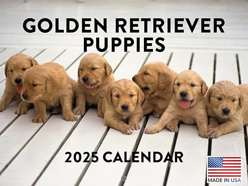 Vista 131 de Calendario Goldendoodle 2026 Golden Doodle mensual de pared calendario de 12 meses Fabricado en Estados Unidos
