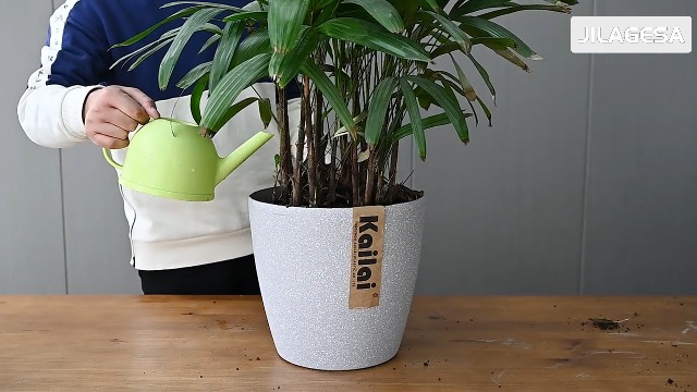 Amazon.co.jp: JIALAGESA 植木鉢 フラワーポット プランター 7号/9号