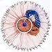 Drasry Saltwater Fishing Cast Net for Bait Trap Fish Size 4ft/5ft/6ft/7ft/8ft/9ft Nets Radius. 0.59inch Mesh (7 feet)