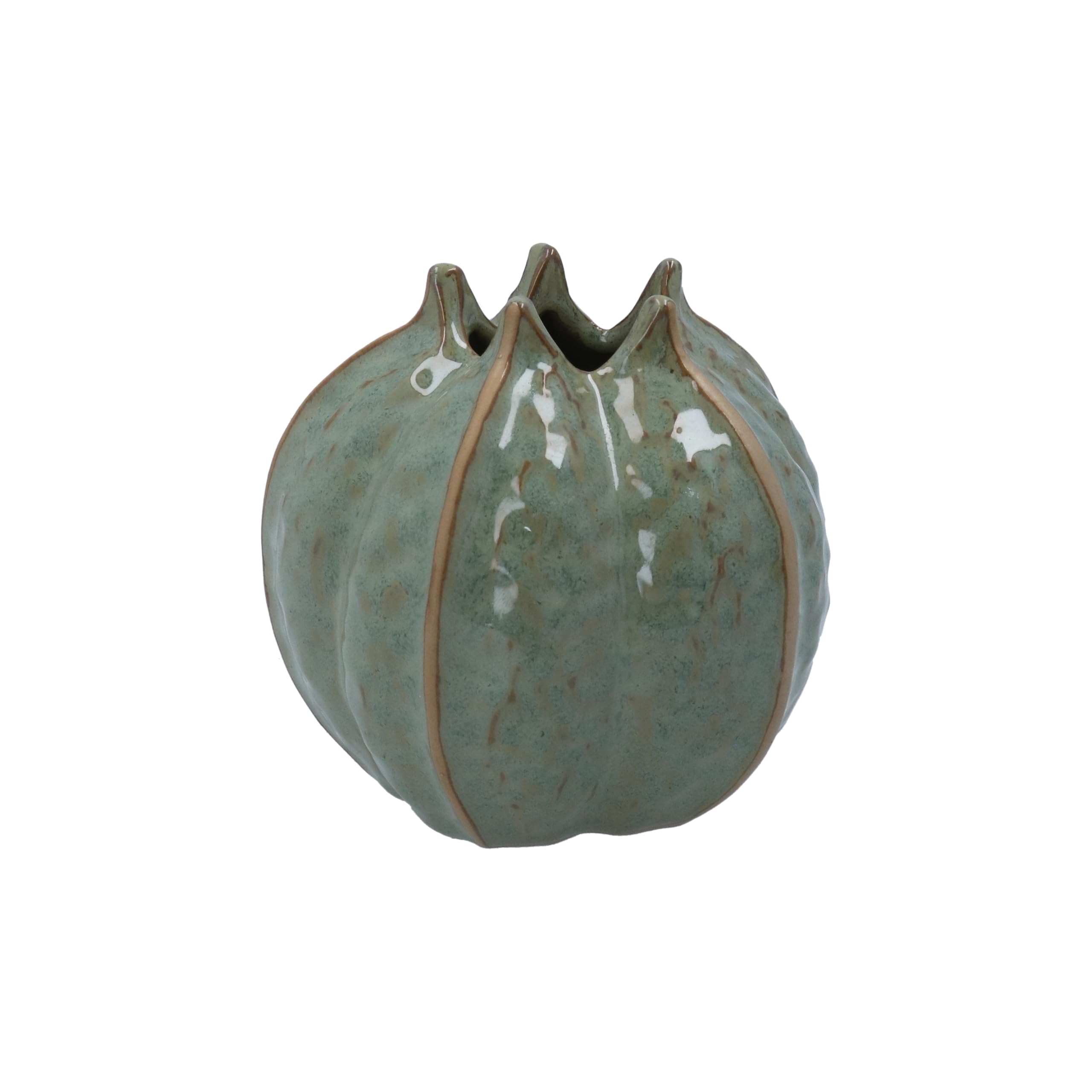 Gisela Graham Green Seed Pod Decorative Vase, 11Cm