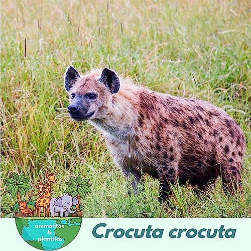 EP17 El "me too" de las hienas cover art