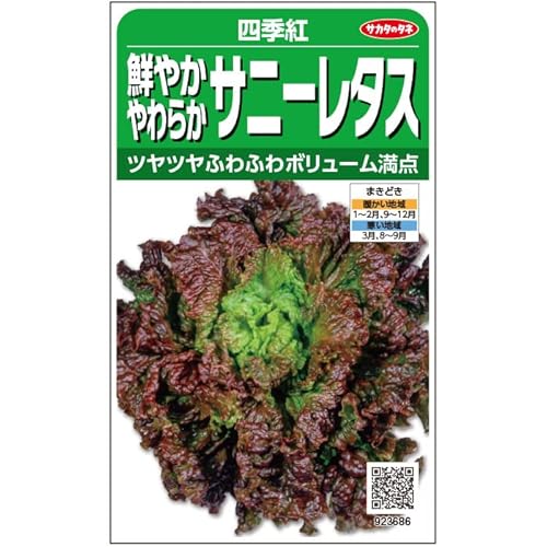 サカタのタネ 実咲野菜3686 レタス 鮮やかやわらかサニーレタス 四季紅のサムネイル