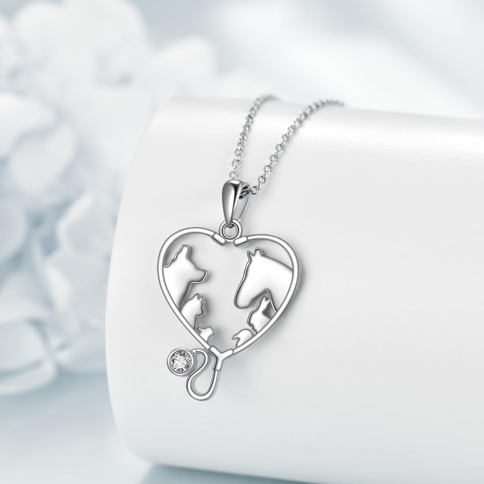 YFN Collar de medicina veterinaria de plata de ley, colgante veterinario, estetoscopio, regalo para mujer