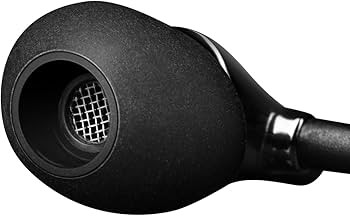 Sennheiser IE 800 Premium In-Ear Headphones (Black) : Amazon.in