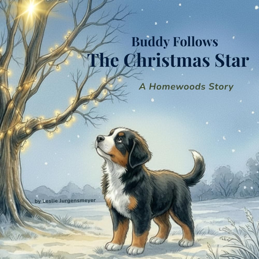 Buddy Follows the Christmas Star: A Homewoods Story