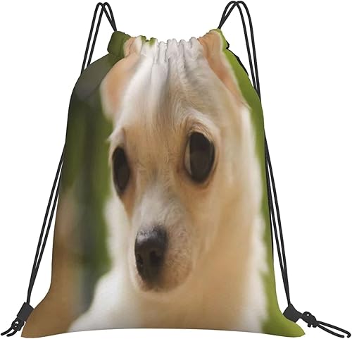 Miniatura 2 de Drawstring Gym Bag Sports Sackpack String Bag for Yoga Travel Swim-Healthy White Chihuahua Dog Face Drawstring Backpack for Men Women