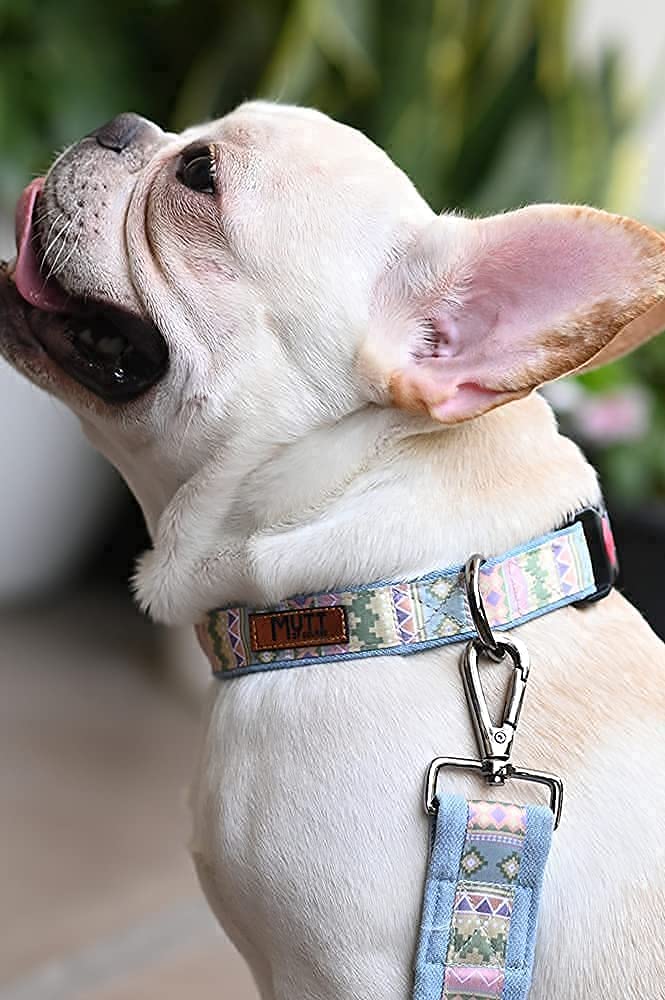 Mutt of Course Aztec Print Dog Collar (Large) (B094ZWKSH7) Amazon Price History, Amazon Price Tracker