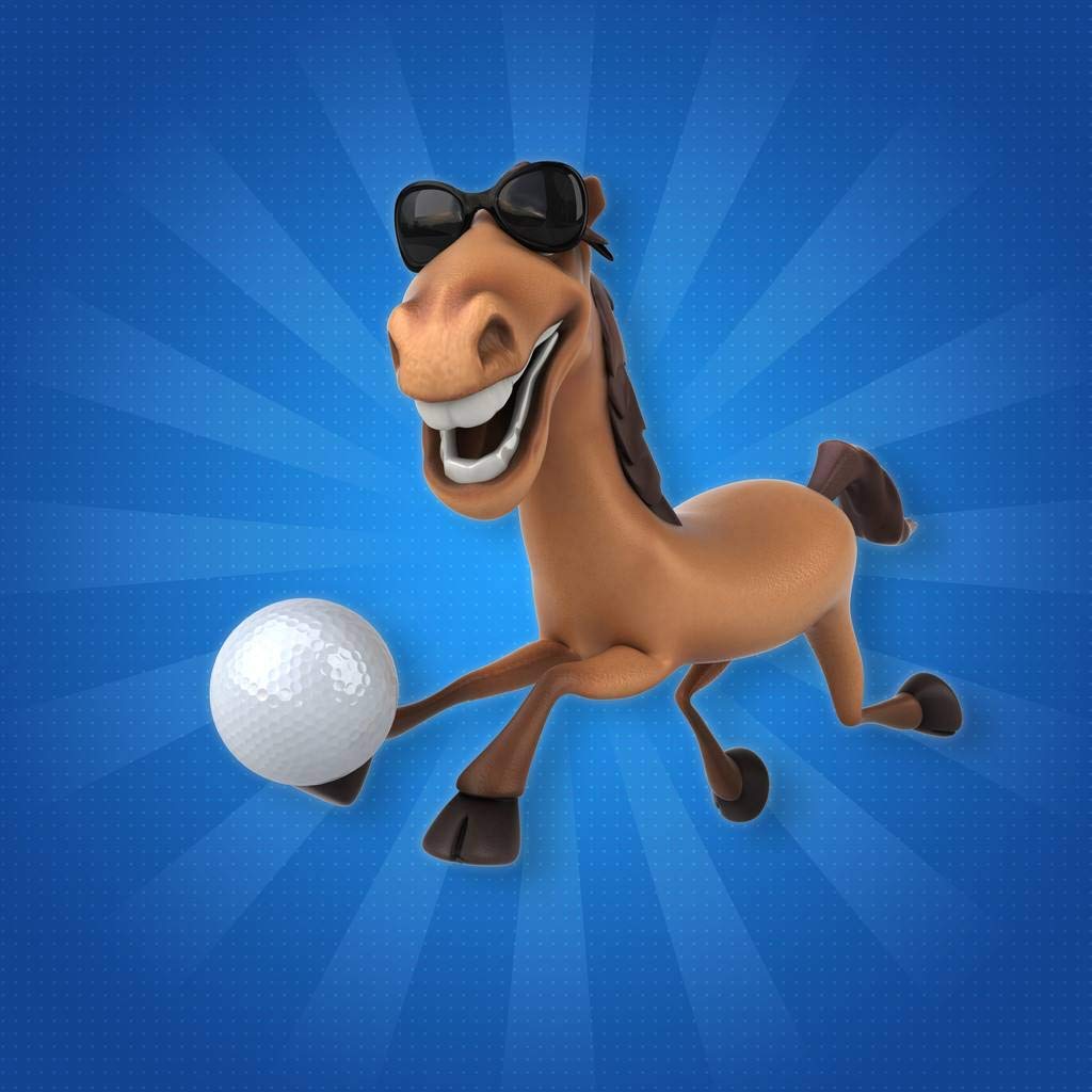 grote paardenspeelbal - Stal & rijbak - Paardensport