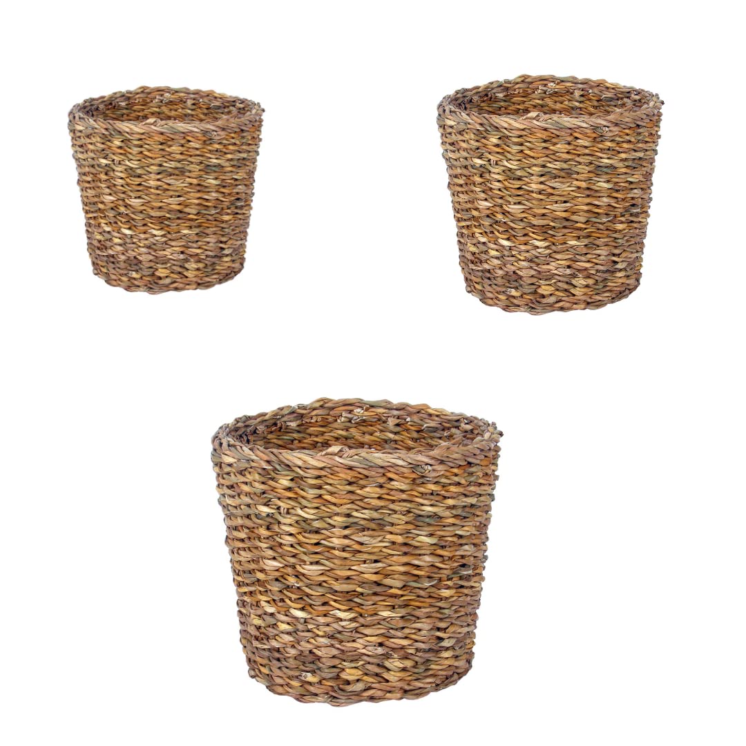 DENOVA Handmade Seagrass Fabric Planter Sabai Grass Jute Basket Gamla for Indoor Outdoor Balcony Terrace Garden Bedroom Living Room Home Décor Round Flower Pot Storage Bin Plants Container (Pack of 3) (B0C6KT6P3N) Amazon Price History, Amazon Price Tracker