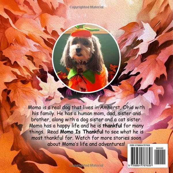 Vista 2 de Momo Is Thankful (Momo Stories)