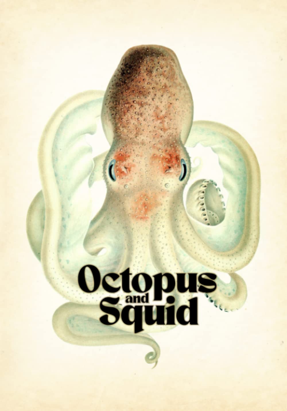 Octopus & Squid drawing tattoo reference recueil d'art marin