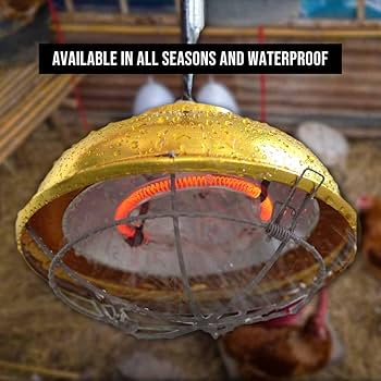 GlowUp Chicken Coop Heater, 275W Heat Lamp, Dimmable Heating