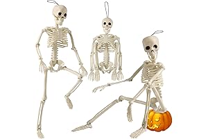 3Pack 16” Halloween Skeleton: Posable Toy Skeleton for Halloween Party Decorations