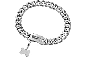 Indestructible & Durable Stainless Steel Dog Chain Collar for Medium Dogs