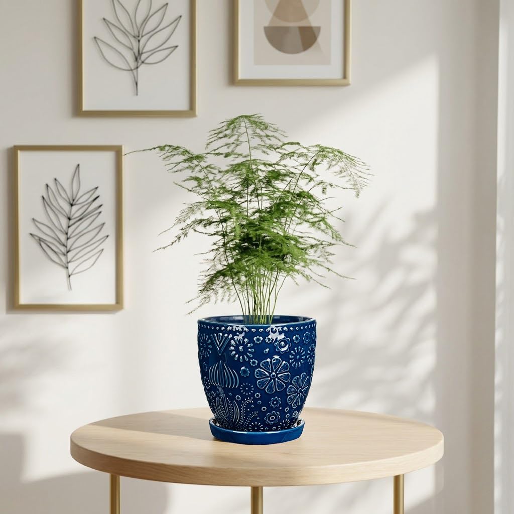 Hollyone 6 Inch Blue Ceramic Planter Flower Plant Pot with Drainage Hole and Saucer for Plants Embossed Indoor Outdoor Garden Embossed Ceramic Glazed Round Pot for Succulent Orchid Mixed Pattern