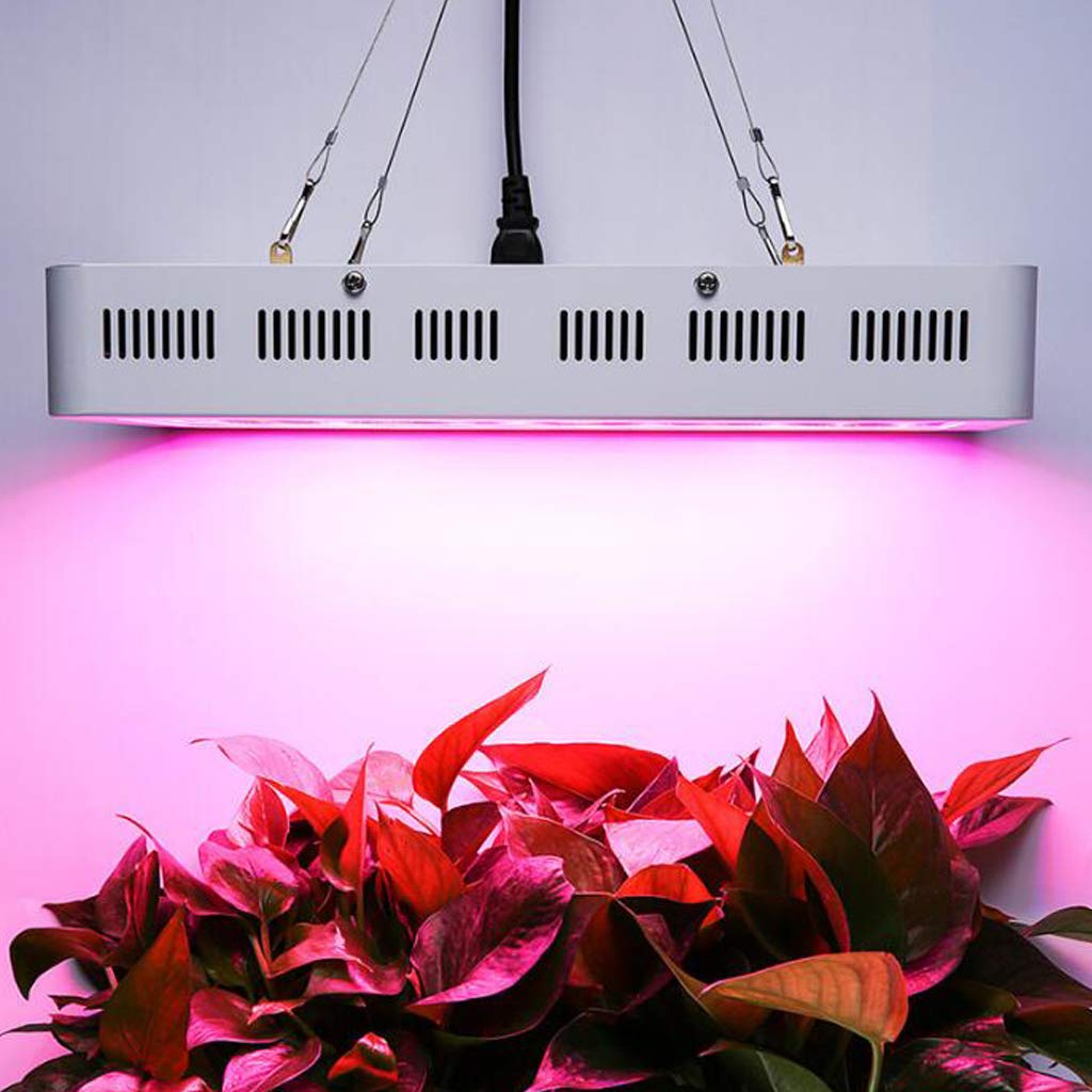 TEmkin Lampe de Croissance pour Plantes, 1200 W/1500 W/2000 W LED Grow Light, Double Interrupteur et Double puces à Spectre Complet pour Plantes d'intérieur hydroponiques, légumes et Fleurs (1200 W)