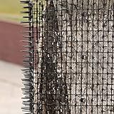 Yukiyi B0BZHNLR2L lato 4