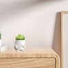 Product Photo 3