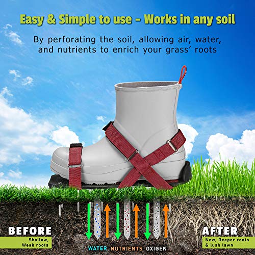 Plantnomics Lawn Aerator Shoes with Hook-and-Loop Straps, Manual, Wrench – Pre-Assembled, Adjustable, Stylish, One-Size-Fits-All – Lawn and Garden Tool Reduces Thatch, Revives Soil Health, Maroon